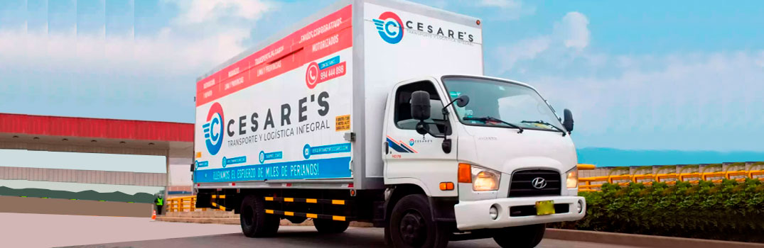 Servicio Transporte